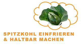 Spitzkohl einfrieren amp haltbar machen Die Anleitung [upl. by Yntrok]