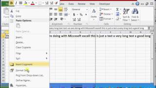 How to Fit Long Text in Excel  Microsoft Excel Help [upl. by Ahsurej]