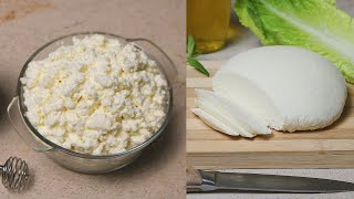 Cottage Cheese Recipe  Homemade Cottage Cheese [upl. by Leuams]