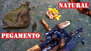 Cómo Hacer Pegamento Sólo Con Materiales Naturales [upl. by Yrocaj967]