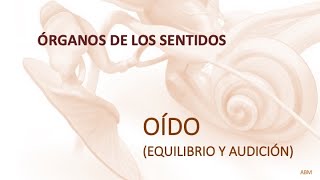 Organos de los sentidos  Oído Equilibrio y audición [upl. by Aihsenal]