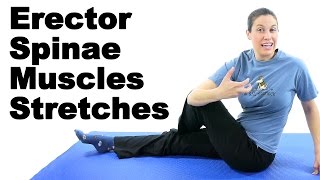 Erector Spinae Muscles Stretches  Ask Doctor Jo [upl. by Odlareg]