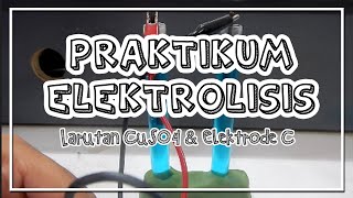 Praktikum Elektrolisis Larutan CuSO4 dan Elektrode C  Definisi Cara Kerja amp Indikator [upl. by Lemuelah871]