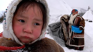 Life in URAL Mountains Russia Survival in Far North Nomads Nenets [upl. by Haimaj]