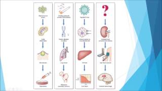 Pathology  Introduction and disease nomenclature [upl. by Yleve]