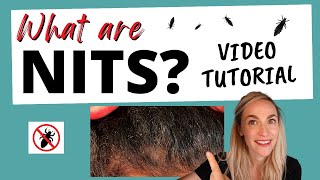 Nits But No Lice Tutorial [upl. by Phonsa78]