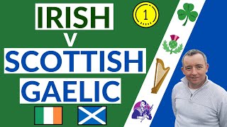 I Compare Irish amp Scottish Gaelic [upl. by Ahsilla747]