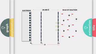 Electrical Double layer at Electrode [upl. by Inaffets]