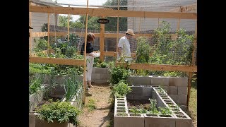 Cinder Block Vegetable Garden Christine and Richard Alcorta  Central Texas Gardener [upl. by Azzil]