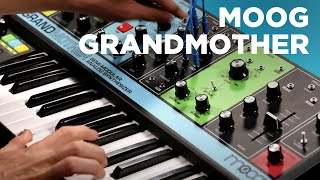 Moog Grandmother SemiModular Keyboard Synth [upl. by Halimak632]