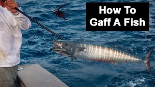 How To Gaff A Fish Mistakes Choosing The Right Size Gaff amp More [upl. by Yendahc]