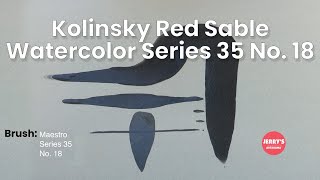 See the Da Vinci Maestro Kolinsky Red Sable Watercolor Series 35 No18 Brush qualities [upl. by Mcnutt]