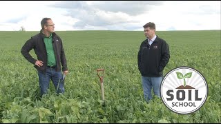 Soil School Cover crops and cattle with Ken Schaus [upl. by Atnahc]