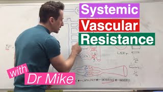 Systemic Vascular Resistance Total Peripheral Resistance  Cardiology [upl. by Corrie]