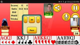 Online pinochle game [upl. by Daniella]