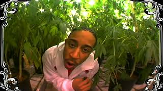 Ludacris  Blueberry Yum Yum EXPLICIT AI UPSCALE 4K 2004 [upl. by Amil]