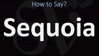 How to Pronounce Sequoia CORRECTLY [upl. by Cilo]