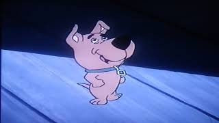 Scrappy Doo Music Video [upl. by Akirehc246]