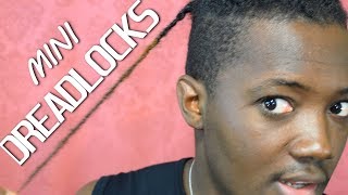 FAIRE DES MINI LOCKS FACILEMENT SANS CROCHETPART1 SMALL DREADLOCKS [upl. by Nevaed]