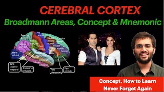 Cerebral Cortex  CNS Physiology  Brodmann Areas Mnemonic amp Conept Video  Neuroanatomy [upl. by Charlie]