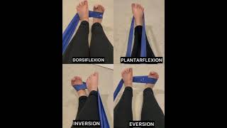 Ankle Strengthening with Theraband [upl. by Eldoria175]