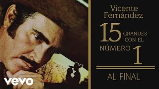 Vicente Fernández  Al Final Tema Remasterizado Cover Audio [upl. by Jewell]