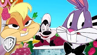 Looney Tunes en Latino  La boda de Bugs Bunny  WB Kids [upl. by Arrekahs]