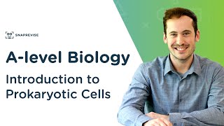 Introduction to Prokaryotic Cells  Alevel Biology  OCR AQA Edexcel [upl. by Keviv694]