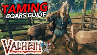 Unlimited leather Scraps How To Tame Boars In Valheim Quick Guide [upl. by Conias]