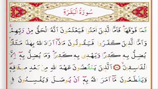 Surah al Baqarah  Saad al Ghamdi [upl. by Drye]