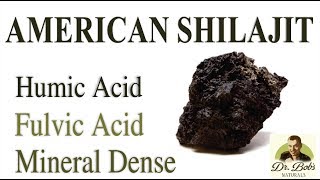 American Shilajit Understanding Humic and Fulvic Acids [upl. by Lepine]