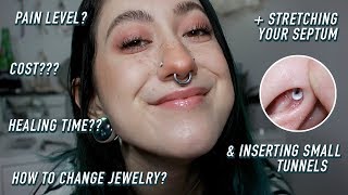 a 101 guide on septum piercings [upl. by Nallij]