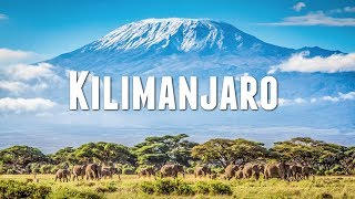 CLIMBING MOUNT KILIMANJARO [upl. by Jonathan392]