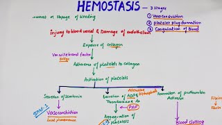 Hemostasis  Easy Flowchart  Physiology [upl. by Lorianna]