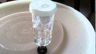 3 Piece Airlock Bubbling  Wine amp Cider Fermentation [upl. by Schindler16]