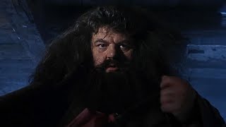 A visit from Rubeus Hagrid  Harry Potter and the Philosophers Stone [upl. by Duaner]