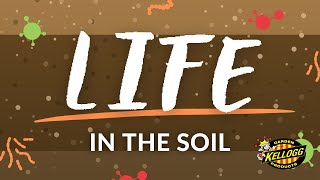 Life in the Soil [upl. by Novat449]