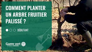 TUTO Comment planter un arbre fruitier palissé   Jardinerie Gamm vert [upl. by Gnaig]