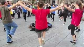 La Sardana  Danza en las calles de Barcelona [upl. by Tadio]