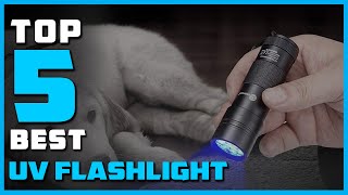 Best UV Flashlight in 2024  Top 5 UV Flashlights Review [upl. by Efrem]