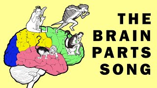 Parts of the Brain Song [upl. by Rangel858]