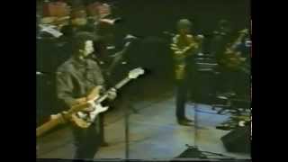 Michael McDonald  The Doobie Brothers  Echoes Of Love  1987 Reunion Tour Rare [upl. by Nnylrefinnej300]