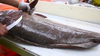 Fish Filleting Grouper [upl. by Nyer]