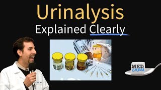 Urinalysis Interpretation Explained Clearly  Glucose amp Ketones in Urine [upl. by Regan597]