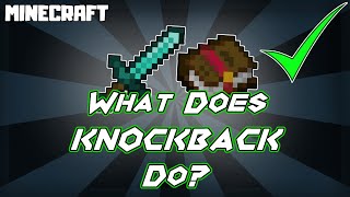 What Does KNOCKBACK Enchantment Do in Minecraft [upl. by Eindys]