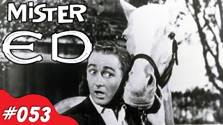 Mister Ed  Nick Knacks Episode 053 [upl. by Nilyad673]