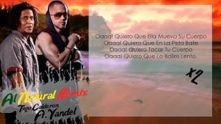 Al Natural Letra  Tego Calderon Y Yandel [upl. by Jordanna]