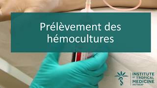 Prélèvement des hémocultures V1 [upl. by Nasah795]