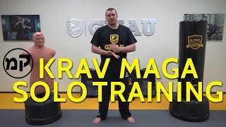 Krav Maga Solo Training Ideas [upl. by Kinson]