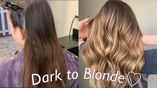 Hand Painted Balayage Ombre Technique  Dark to Blonde Tutorial [upl. by Liza]